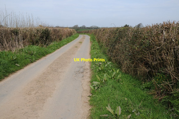 Photo 6"x4" Country road near Collingsdown Eckworthy c2015