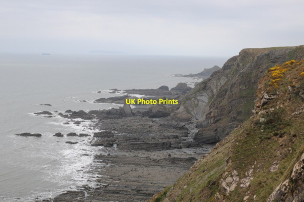 Photo 6"x4" Broad Beach Stoke\/SS2324 c2015