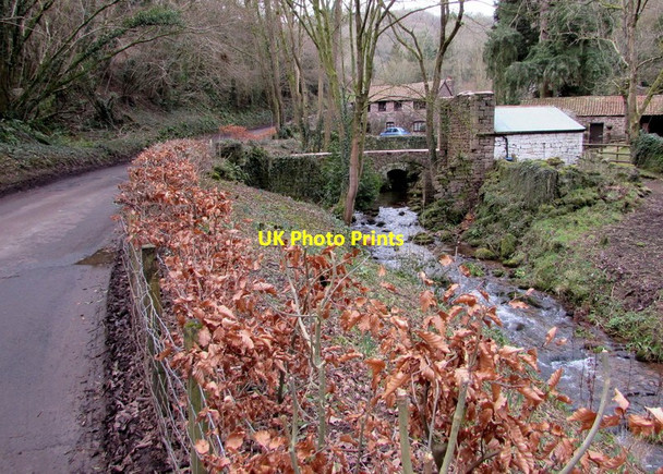 Photo 6"x4" Brown leaves above White Brook, Whitebrook Whitebrook\/SO5306 c2015