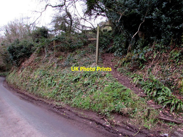 Photo 6"x4" Hillside track, Whitebrook Whitebrook\/SO5306 c2015