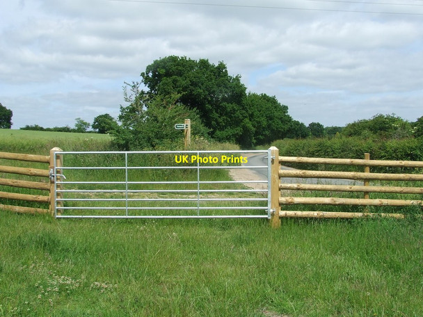 Photo 6"x4" New Gate And Fence Weston\/TM4287 c2015