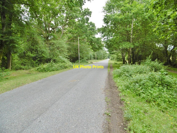 Photo 6"x4" Bartley, Beechwood Road Bartley c2015