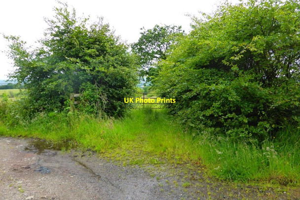 Photo 6"x4" Right of Way to Torrance Lennoxtown c2015