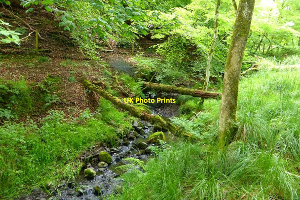 Photo 6"x4" In Glenwhapple Lennoxtown c2015