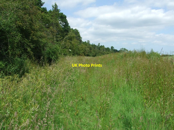 Photo 6"x4" Overgrown Footpath Ellough c2015