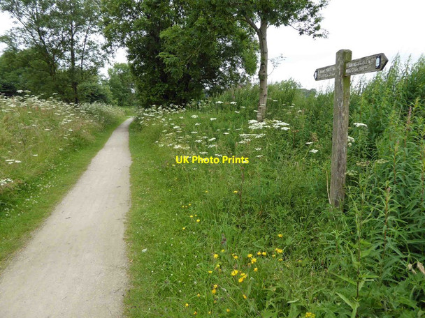 Photo 6"x4" High Peak Trail signpost Friden Newhaven\/SK1660 c2015