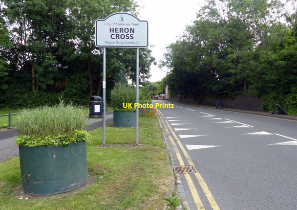 Photo 6"x4" Grove Road in Heron Cross Heron Cross c2015