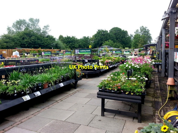 Photo 6"x4" Adrian Hall Garden Centre, Feltham, 2 Feltham\/TQ1073 c2015