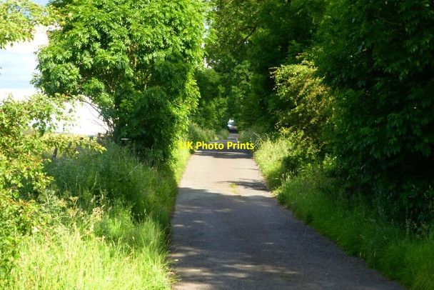 Photo 6"x4" Back o' Hill Road Balmore\/NS6073 c2015