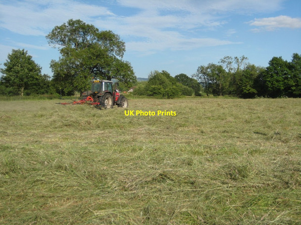 Photo 6"x4" Haymaking in Earl's Croome Baughton c2015