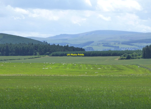 Photo 6"x4" Cereals and pasture  Doddington\/NT9932 c2015
