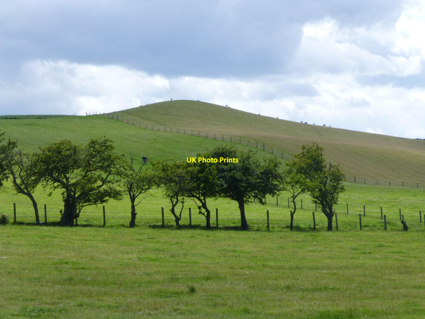 Photo 6"x4" Pasture dome Doddington\/NT9932 c2015