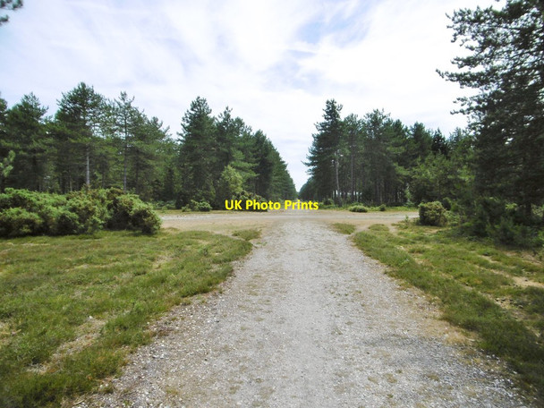 Photo 6"x4" Fawley Inclosure, forestry crossroads Little Holbury c2015
