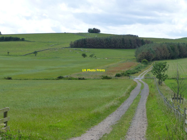 Photo 6"x4" Track down to Horton Burn East Horton c2015