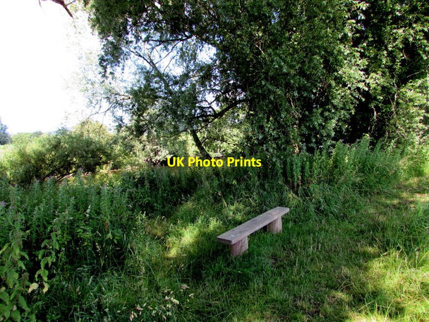 Photo 6"x4" Bench at the edge of the River Usk, Clytha Estate Aberffrwd\/SO3509 c2015
