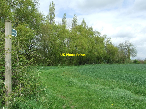 Photo 6"x4" Footpath And Footpath Sign Ilketshall St Lawrence c2015