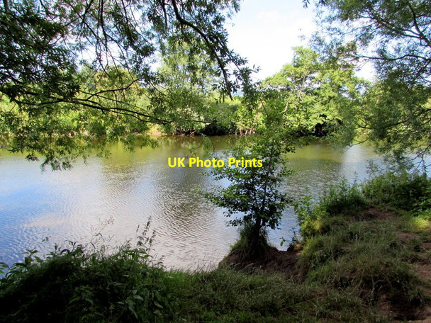 Photo 6"x4" Dogs may swim from here, River Usk, Clytha Estate Aberffrwd\/SO3509 c2015