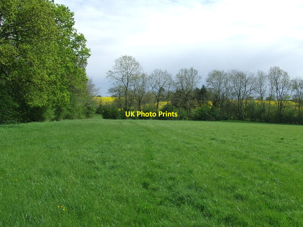 Photo 6"x4" Grass Meadow Redisham c2015