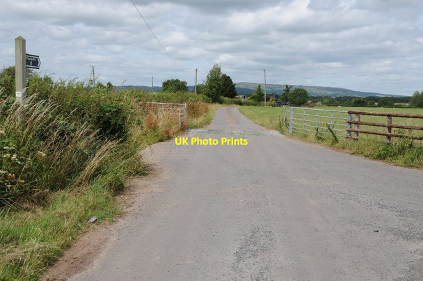 Photo 6"x4" Entrance drive to Hill Farm Kyrewood c2015