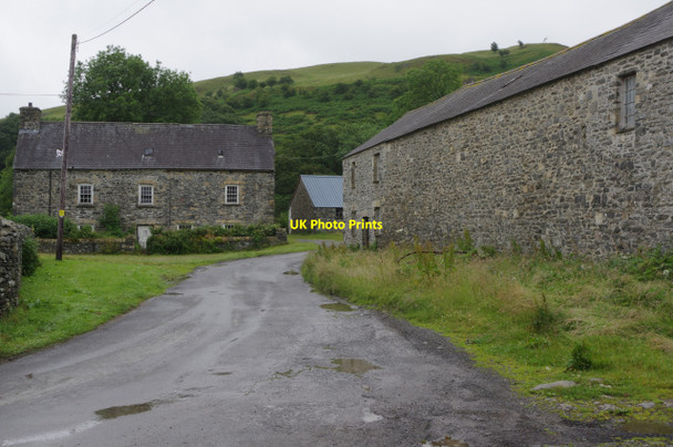 Photo 6"x4" Strata Florida Strata Florida c2015