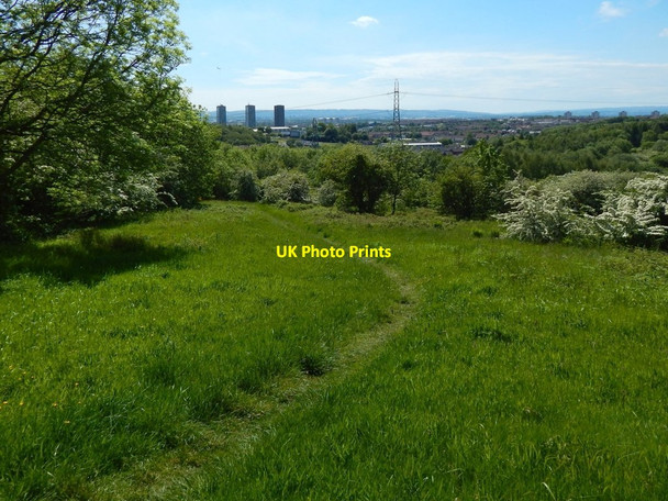 Photo 6"x4" View to Garscadden Wood Bearsden c2015