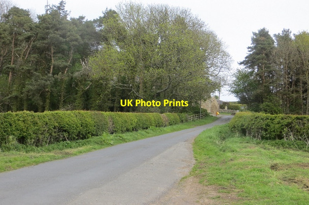 Photo 6"x4" Road to Helm Causey Park Bridge c2015