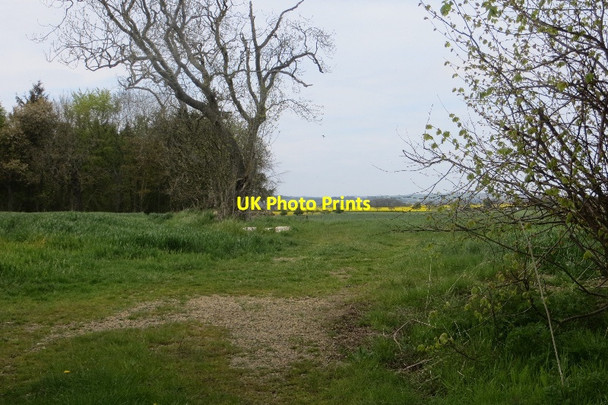 Photo 6"x4" Towards The Fleets Eshott c2015