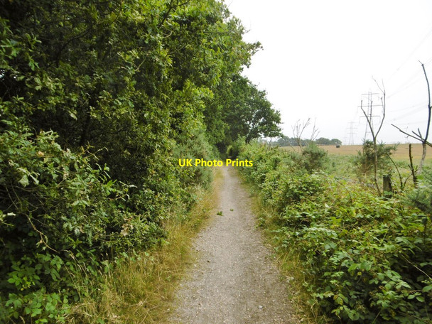 Photo 6"x4" Hardley, bridleway Little Holbury c2015