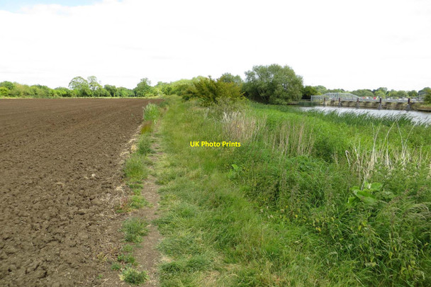 Photo 6"x4" The Thames Path to Clifton Hampden Clifton Hampden c2015