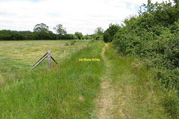 Photo 6"x4" The Thames Path to Clifton Hampden Clifton Hampden c2015