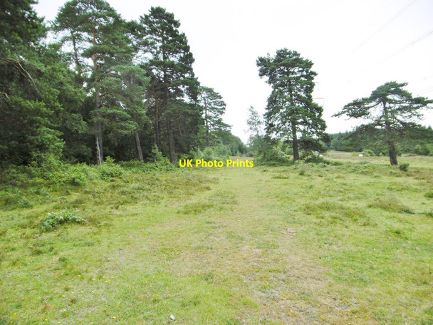 Photo 6"x4" Applemore, track Dibden Purlieu c2015