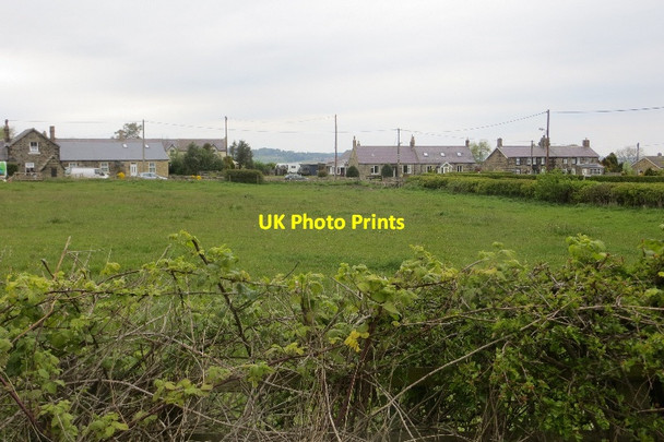 Photo 6"x4" Field, Shilbottle Shilbottle c2015