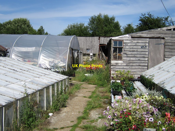 Photo 6"x4" Outbuildings at Kent Street Nurseries Baldslow c2015