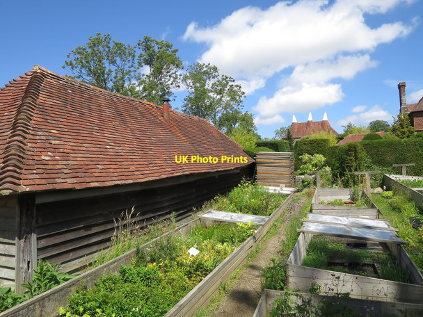 Photo 6"x4" Great Dixter Nursery Northiam c2015