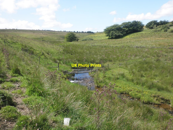 Photo 6"x4" The infant River Barle Challacombe\/SS6940 c2015