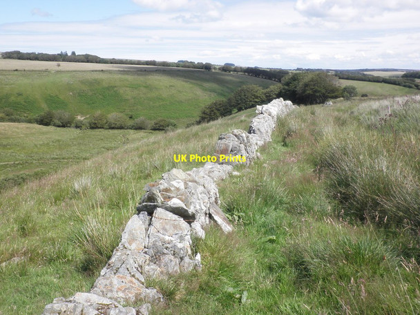 Photo 6"x4" Old stone wall above Tangs Bottom Simonsbath c2015