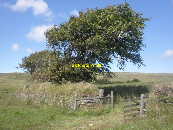 Photo 6"x4" Gateway on Dure Down Simonsbath c2015
