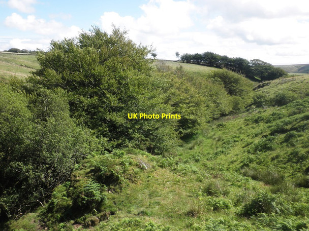 Photo 6"x4" Tangs Bottom Simonsbath c2015