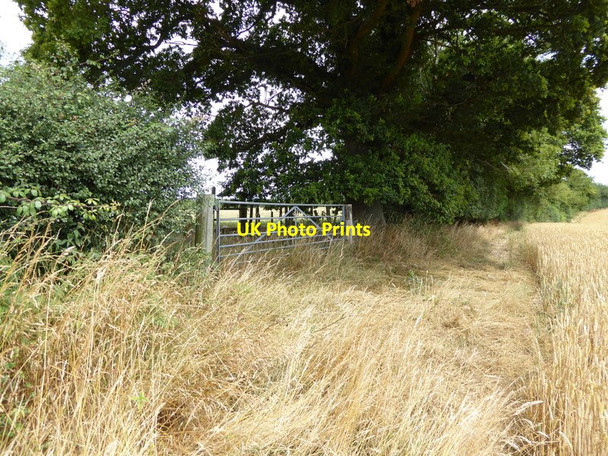 Photo 6"x4" Field gate on the West Sussex border Ramsnest Common c2015