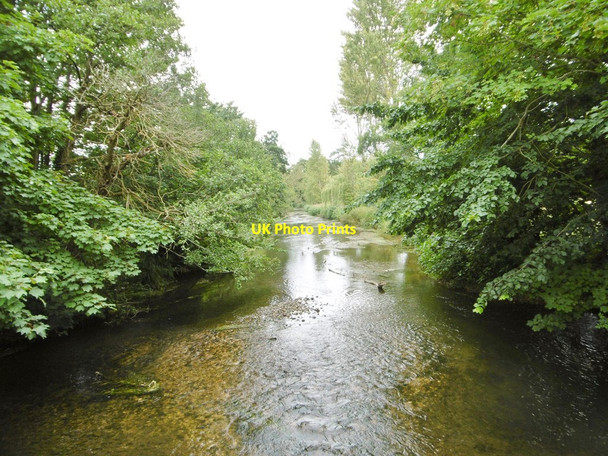 Photo 6"x4" Frampton, River Frome Southover\/SY6294 c2015