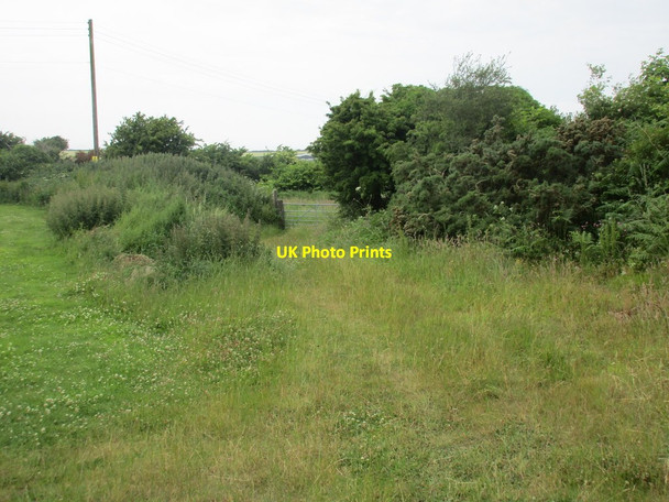 Photo 6"x4" Track at St. Nicholas St Nicholas\/SM9035 c2015