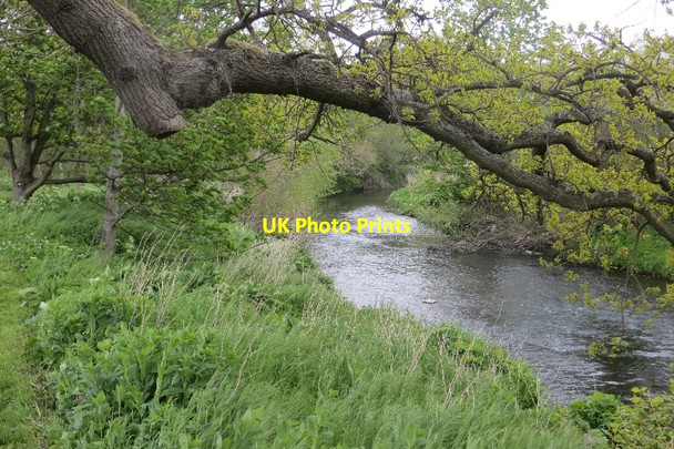 Photo 6"x4" River Tyne near Haddington Haddington\/NT5173 c2015