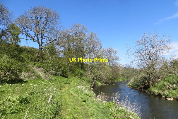 Photo 6"x4" River Tyne Markle\/NT5777 c2015