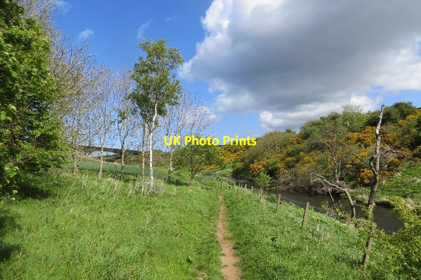 Photo 6"x4" River Tyne and path East Linton c2015