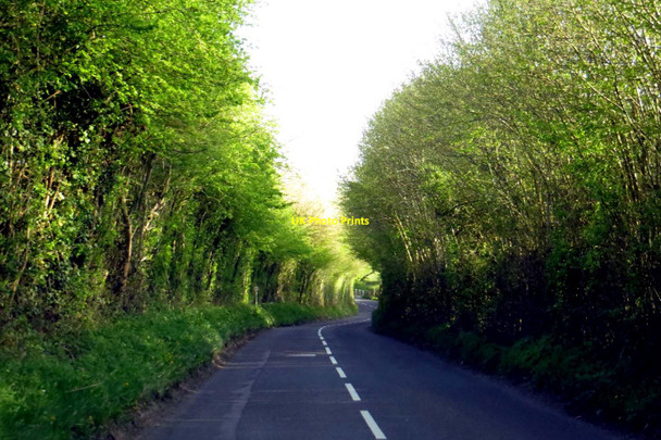 Photo 6"x4" Charlbury Road leaving Spelsbury Charlbury c2015