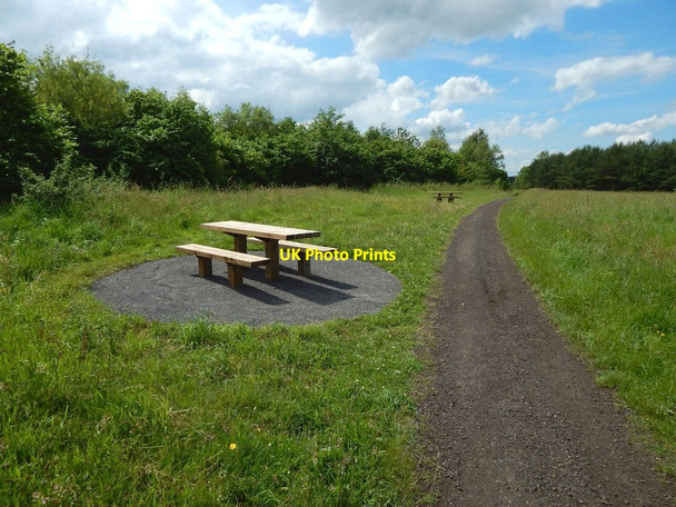 Photo 6"x4" Path in Garscadden Wood Bearsden c2015