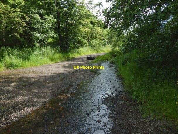 Photo 6"x4" The Cleddans Burn Bearsden c2015