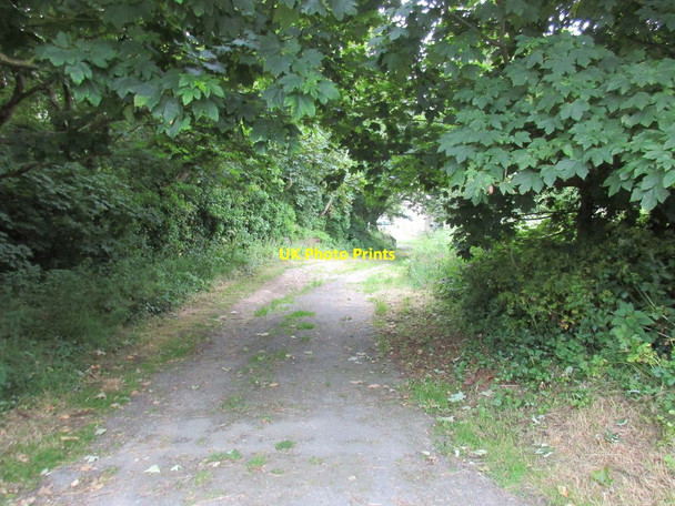 Photo 6"x4" Track down to the Bishop's Palace St David's\/Tyddewi c2015