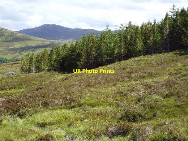Photo 6"x4" North-east corner of plantation below Cioch Mhor near Glencalvie Lodge Amatnatua c2015
