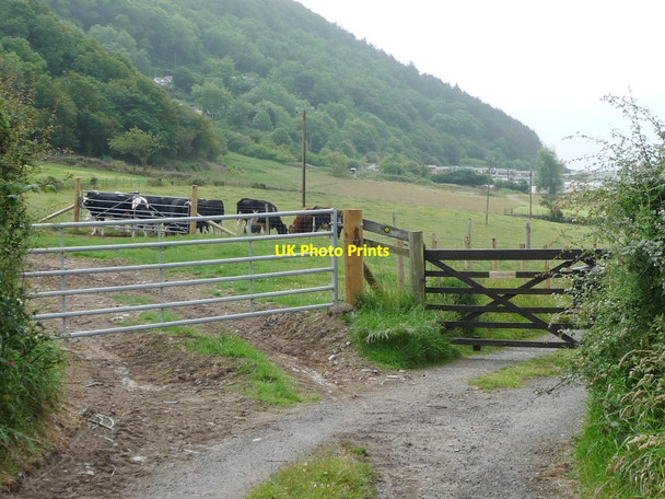 Photo 6"x4" Public footpath heading west to Clarach Bay Aberystwyth c2015